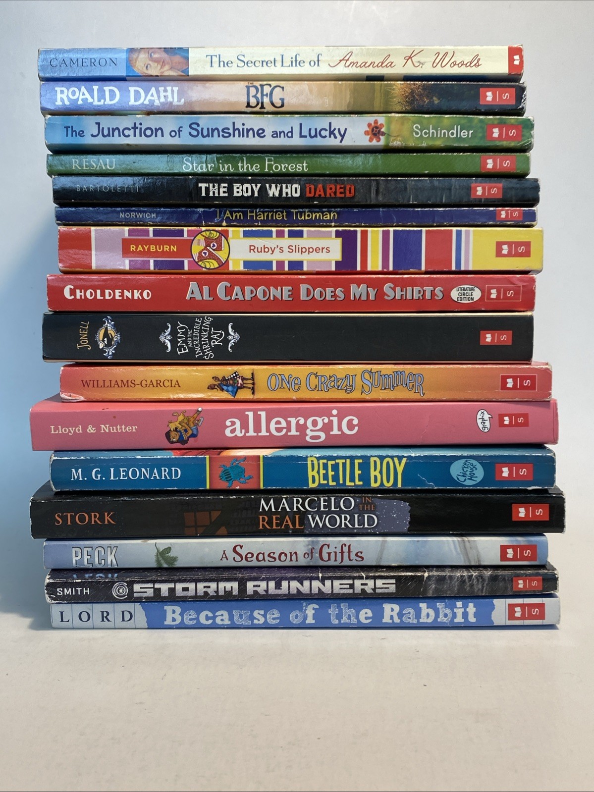 Lot of 16 Children's Kids Chapter Books Instant Library PB Scholastic Bundle
