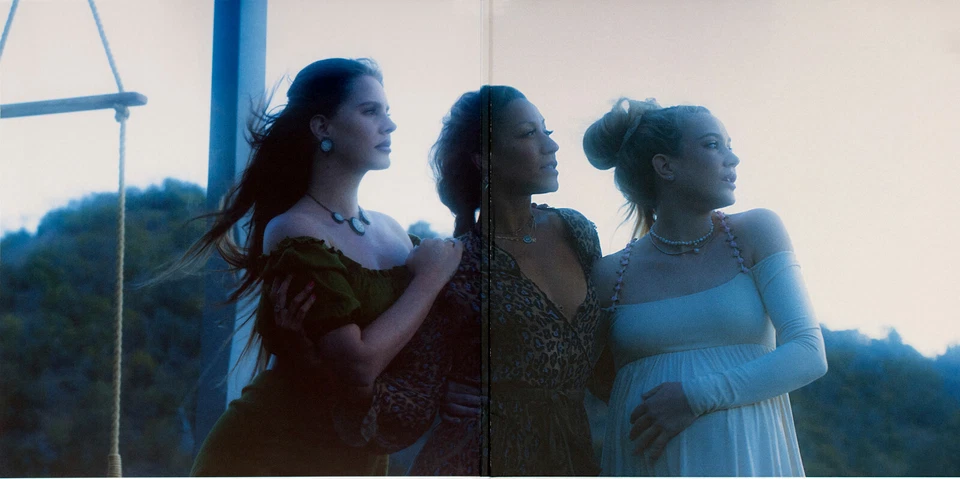 Rock-Pop, Indie-Pop - Lana Del Rey – Blue Banisters - EU-US 2021 - 2 LPs Mint - Bild 3 von 4