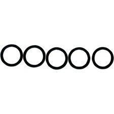 Fuel-Tool Replacement O-Ring -Fuel Check Valve - 5-Pack | MC200-5