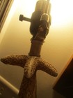 Starfish  Table Lamp Beach House Nautical Coastal resin 17" x 7 base NO SHADE ! — photo 9