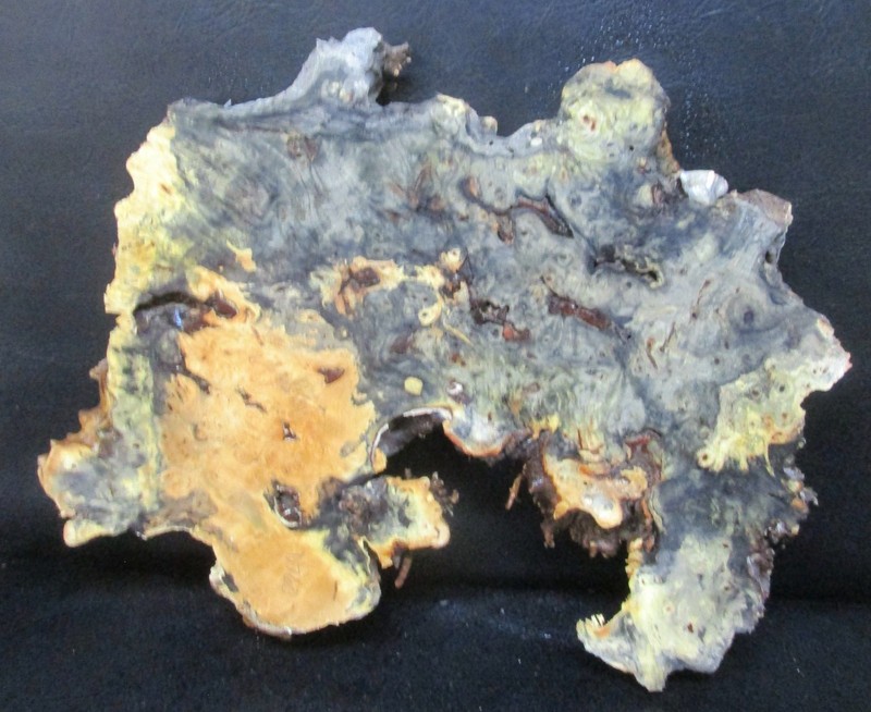 Buckeye Burl Wood Natural Edge Slab Crafts  #D760  26" x 22" x 2 1/8"