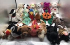 VTG TY Beanie Babies Lot Of 20 Chicken, Pumpkin, Dogs, Cat, Bears, Bunny, Birds
