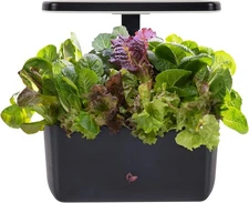 AeroGarden Harvest 2.0, Indoor Garden Hydroponic System with LED Grow Light, Hol