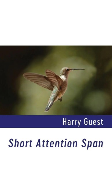 Harry Guest | Short Attention Span | Taschenbuch | Englisch (2019)-image