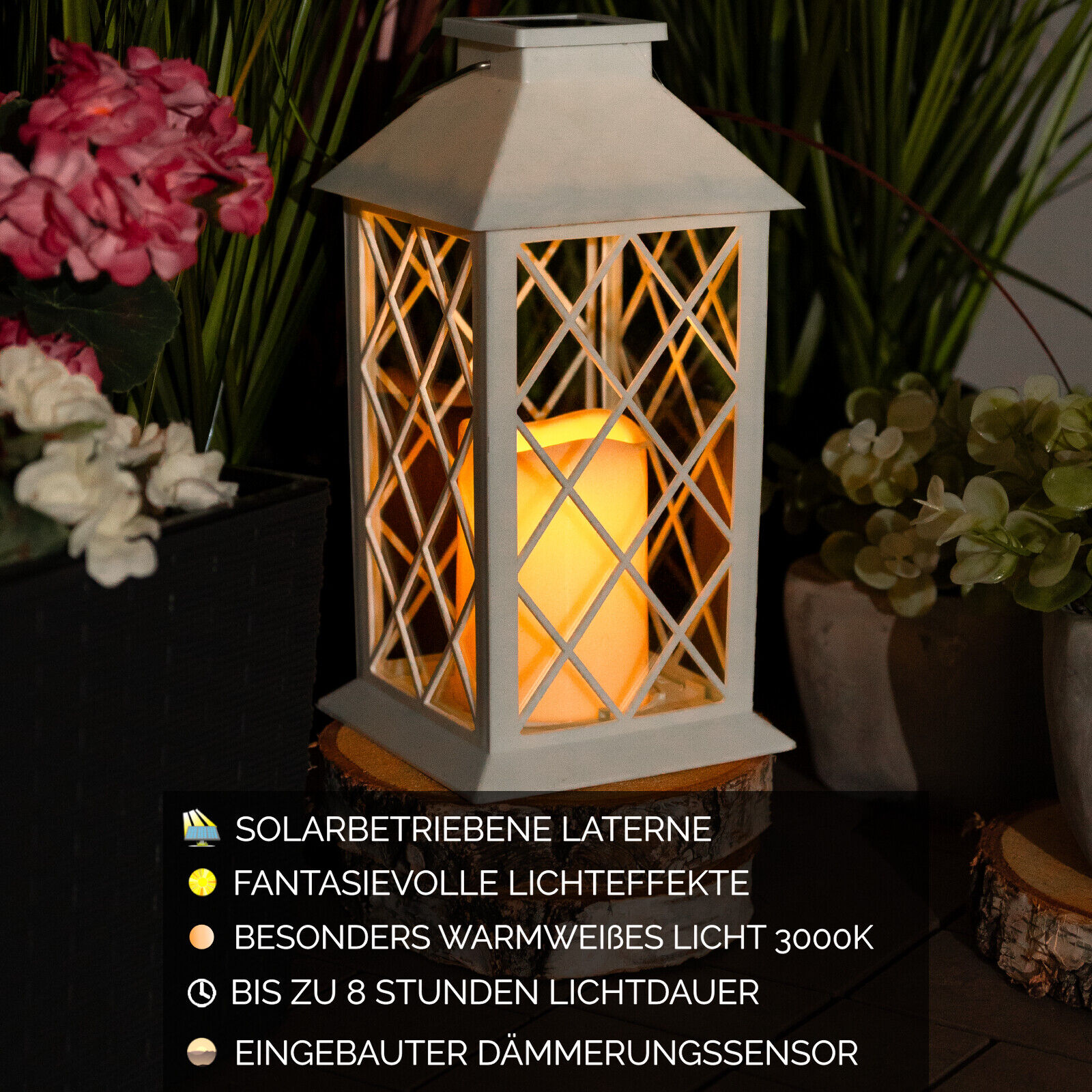 Bild 41 von 71