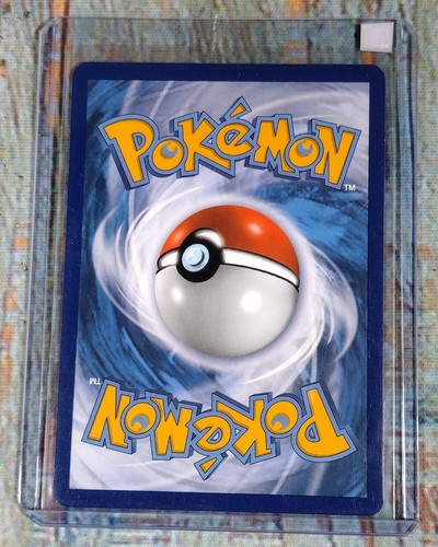 DOTTLER 018/202 Uncommon Swords & Shields 2020 Stage 1 Pokémon (#1) - Picture 4 of 4