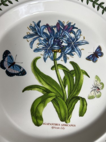 Portmeirion Botanic Garden Set of 4 Dinner Plates with Assorted Florals 10.5" - Picture 3 of 12