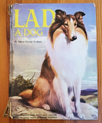 Lad a Dog by Albert Payson Terhune Illustrated Children's Book 1957 HC - Picture 2 of 9