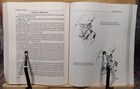 Foto 14 di 24