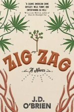 Zig Zag: A Novel