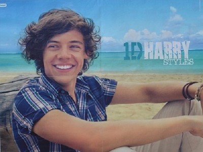 HARRY STYLES - A2 Poster (XL - 42 x 55 cm) - One Direction Clippings Sammlung