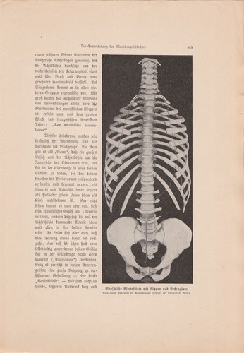 Alte ANTIKE KUNSTDRUCKE von 1902 aus Wissenschafts-Magazinen ECHT Buchseiten A4 - Bild 16 von 24