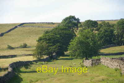 Foto 6x4 Old Grass Road Orton\/NY6208 Off Shooting der Park Lane kurz vor c2006