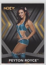 2017 Topps WWE NXT Roster Silver 6/25 Peyton Royce #23 l3b
