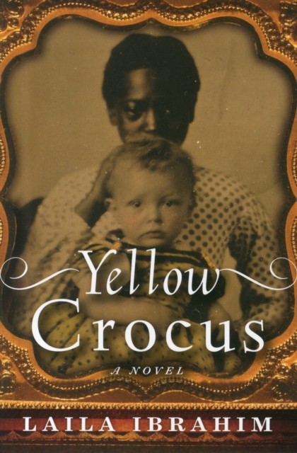 Yellow Crocus Laila Ibrahim - Image 3