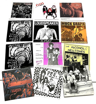 Garage Band Hardcore Punk 7'' Vinyl Record Bustmonsters Peeps Sugartooth Lot (12)