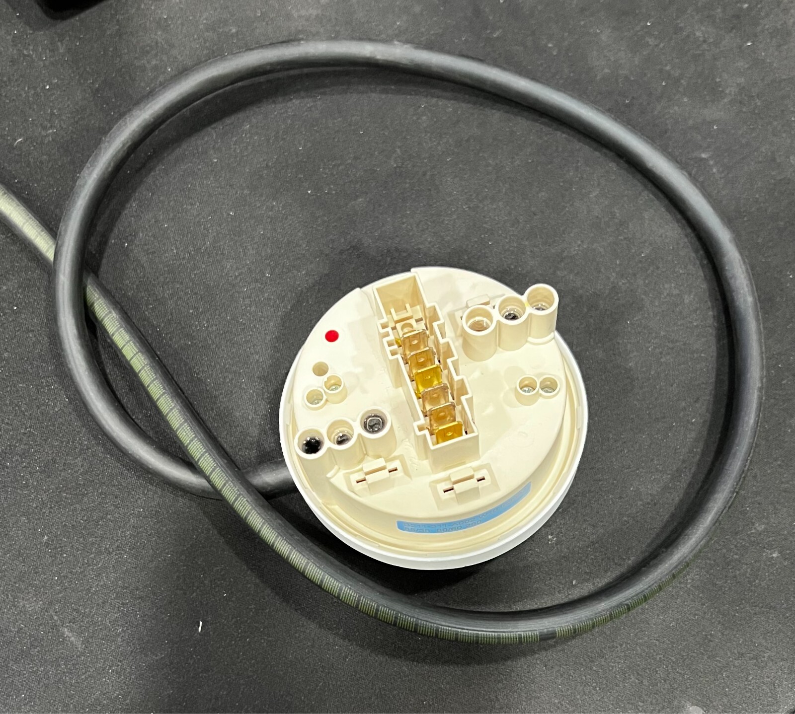 OEM W10163982 Whirlpool Washer Switch-Wl Lot 11