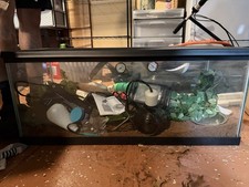 Animal Tank