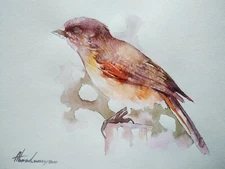 Flycatcher, Birds, Watercolor artwork, Handmade, Original painting on paper