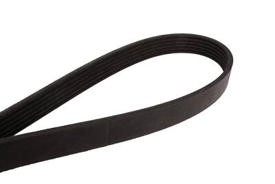 めめ Genuine OEM Accessory Drive Belt 6PK 1003 for BMW