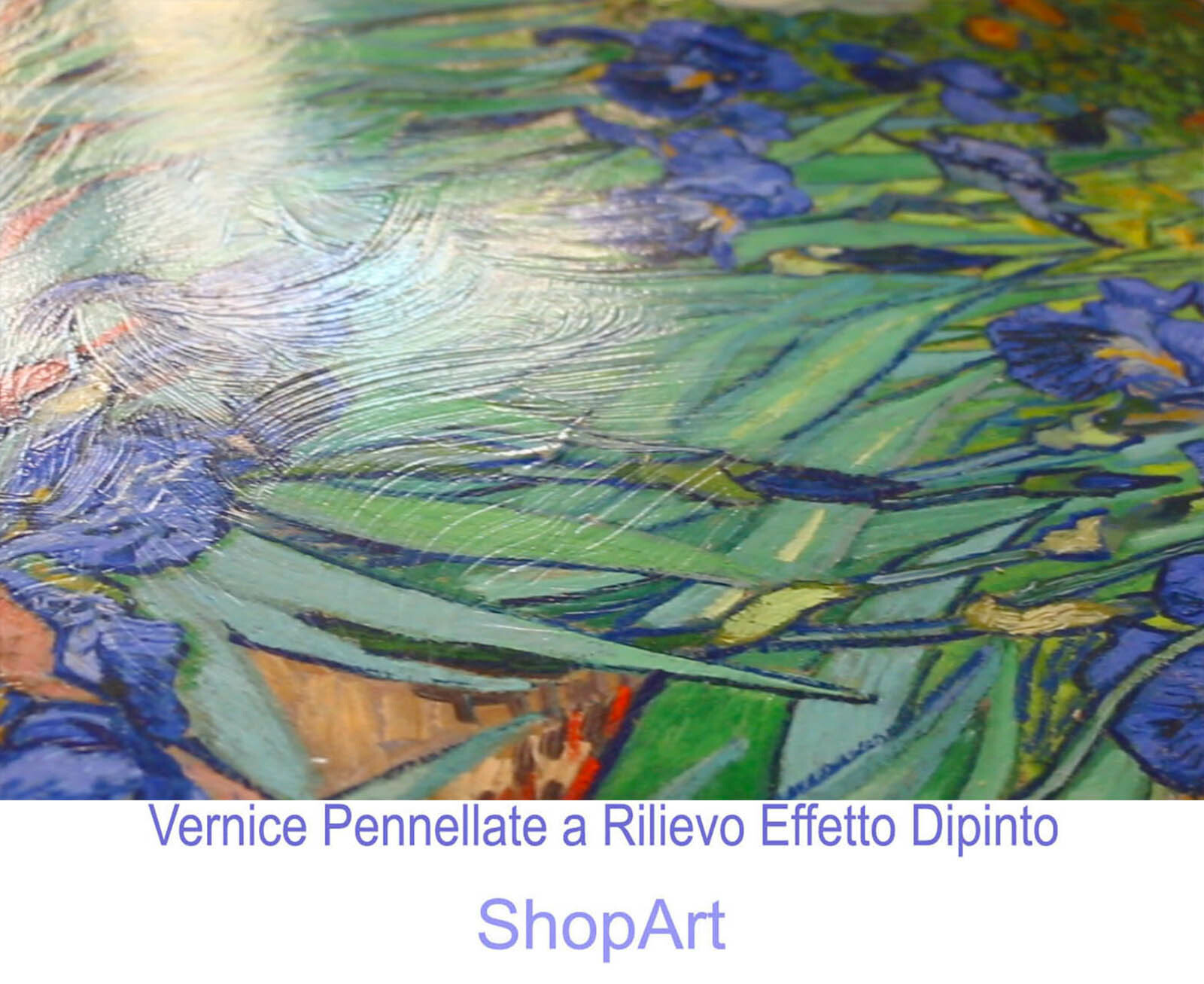 Foto 6 di 9
