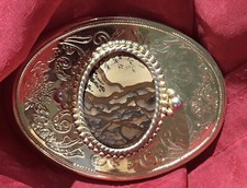 GORGEOUS BIGGS STONE BELT BUCKLE. VERY GOOD CONDITION.