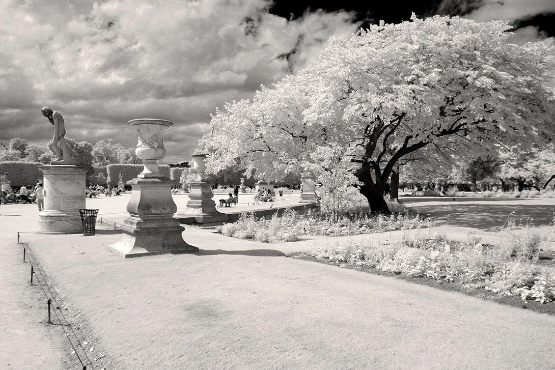 Picture 5 of 12