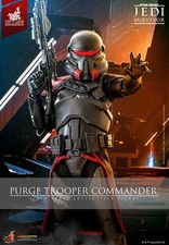 Hot Toys Star Wars Purge Trooper Commander Figure Collectible  VGM67