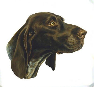 German Shorthaired Pointer Tote Bag