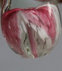 Bild 6 von 6