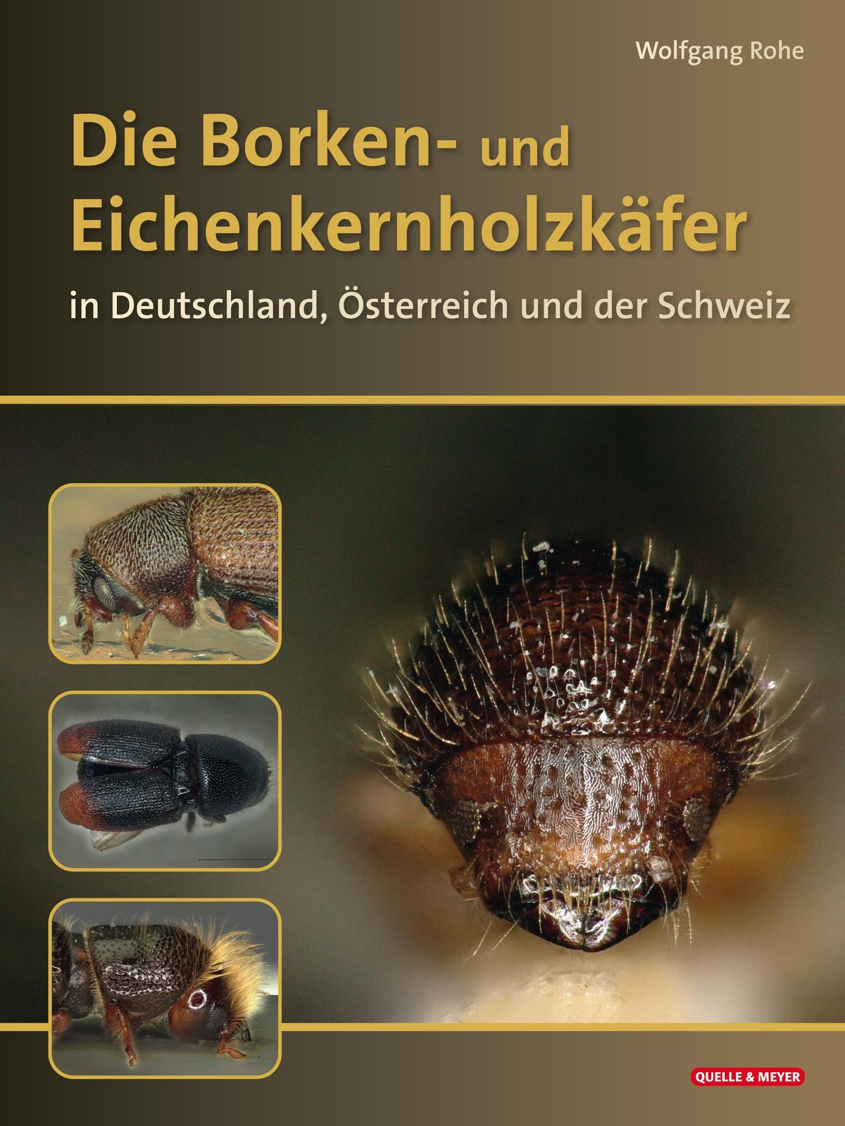 Die Borkenkäfer Deutschlands, Österreichs und der Schweiz Wolfgang Rohe