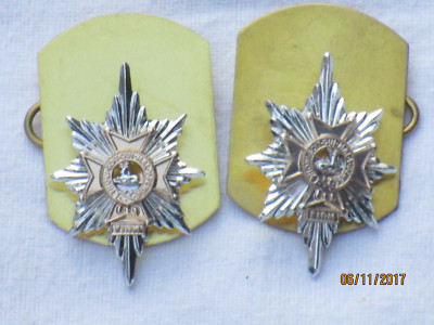 Worcestershire & Sherwood Foresters Regiment,Collar Badges,Anodised Aluminium