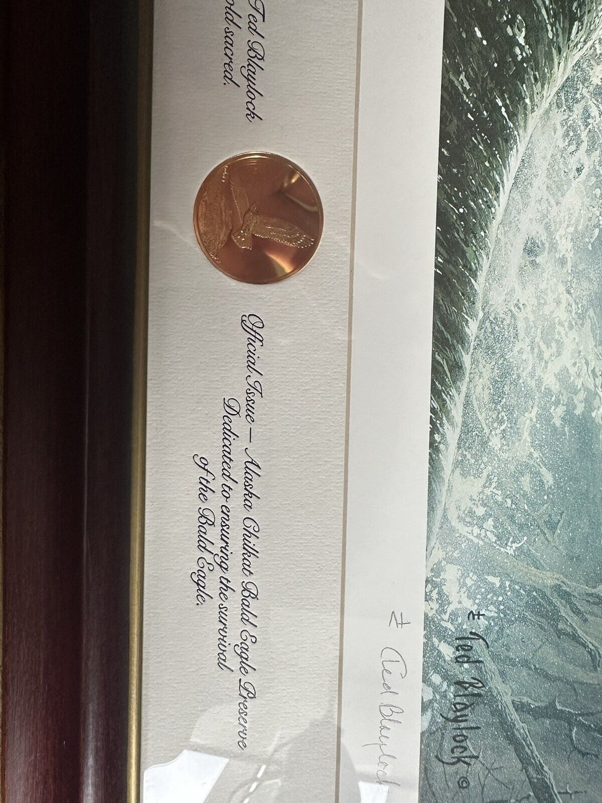 Picture 5 of 7