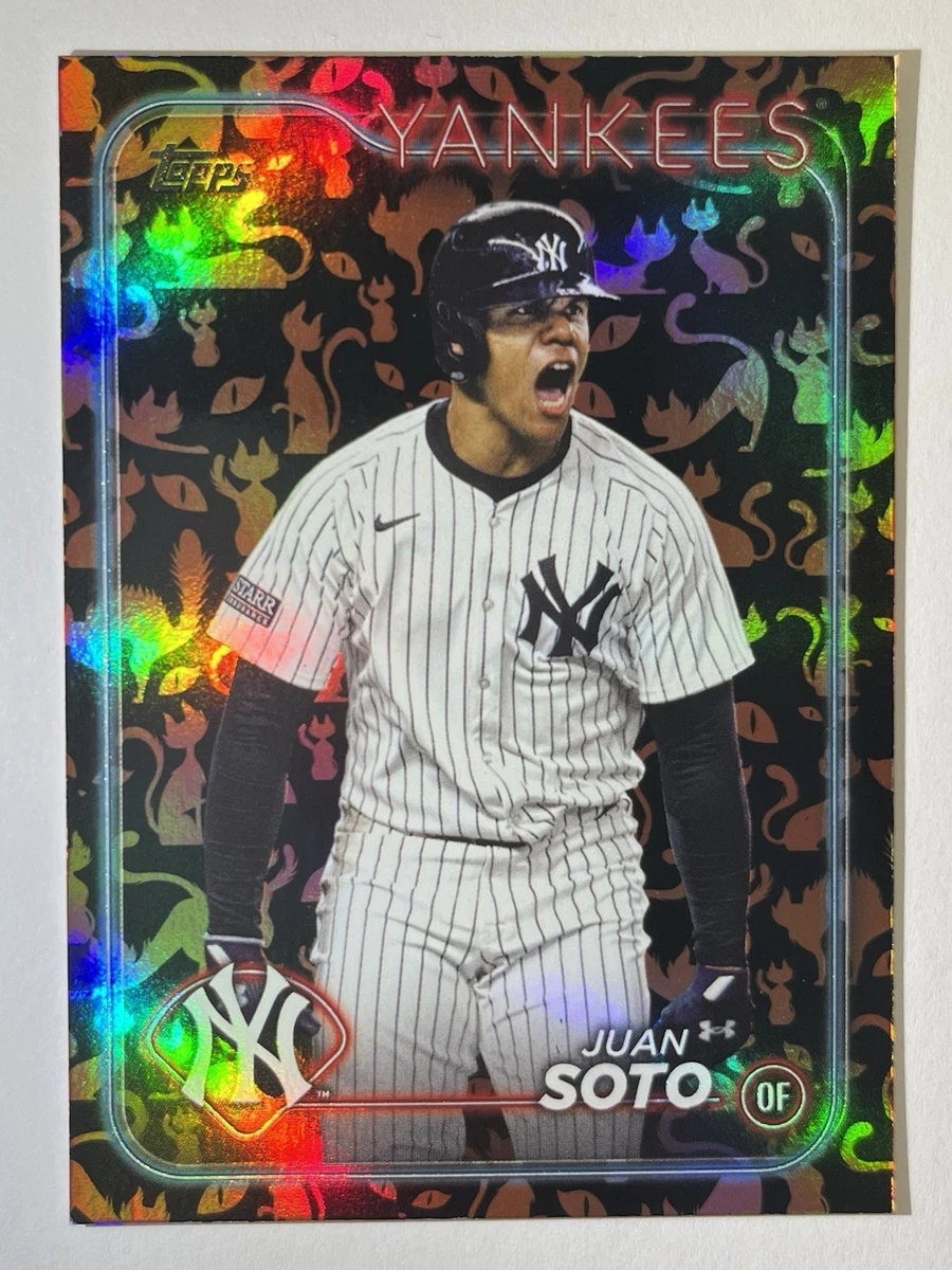 25+ Juan Soto Baseball Serial Numbered Sports Trading Cards