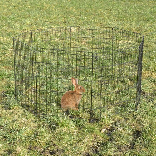 Freilaufgehege Tiergehege Tierlaufstall Gehege Auslauf für Kleintiere 124x76 cm - Bild 6 von 6