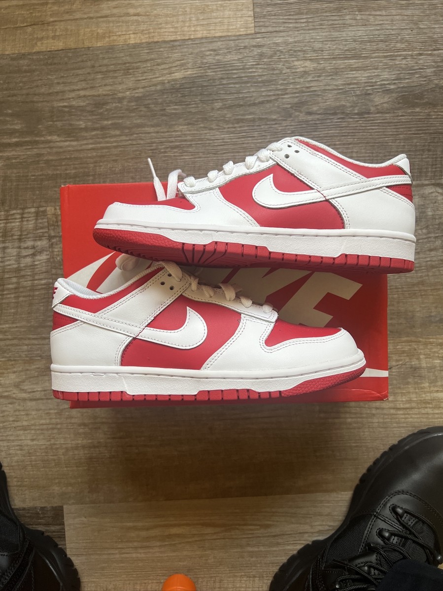 NIKE Dunk Low SPレッド/ホワイト Nike Dunk Low SP 