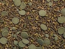 ABF AQUATIC FRESHWATER SNAIL FOOD MIX/With CALCIUM- MINI SPIRULINA WAFERS ABF1