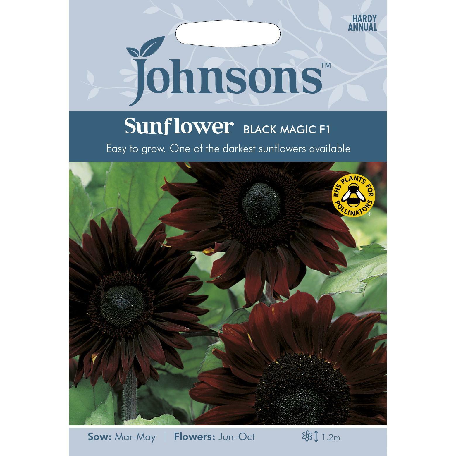 Johnsons Grow Your Own Summer Garden Flowers Sunflower Black Magic F1 Seeds