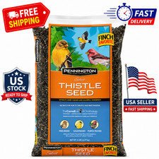 Pennington Recipe Selects Thistle Seed, Dry Wild Bird Feed and Seed, 5 lb. Bag,