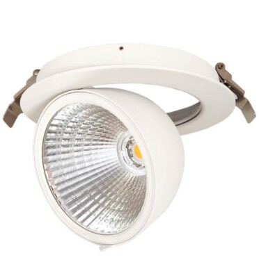 LED Einbaustrahler 30W Bridgelux Philips CertaDrive 3CCT schwenkbar Φ155mm CRI92