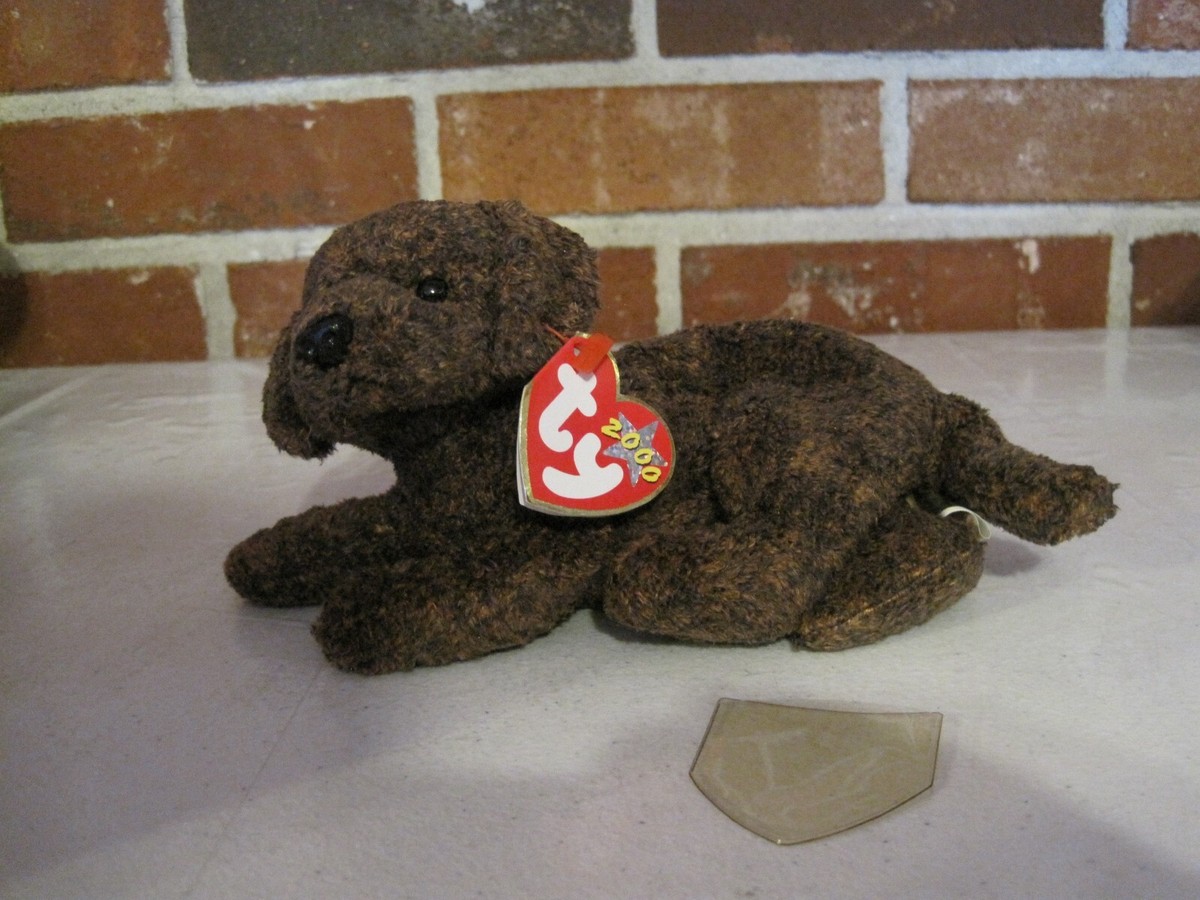 2000 RETIRED TY BEANIE BABY FETCHER THE DOG DATE OF BIRTH APRIL 27