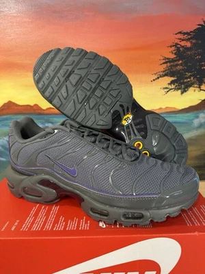 Nike Air Max Plus Iron Grey Wild Grape for Sale | Authenticity