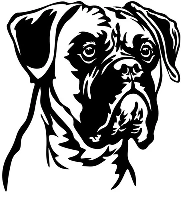 BOXER Aufkleber - Autoaufkleber - sticker - Deutscher Boxer Kopf #37 - Bild 1 von 3