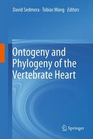 David Sedmera (U. A.) | Ontogeny And Phylogeny Of The Vertebrate Heart | Buch
