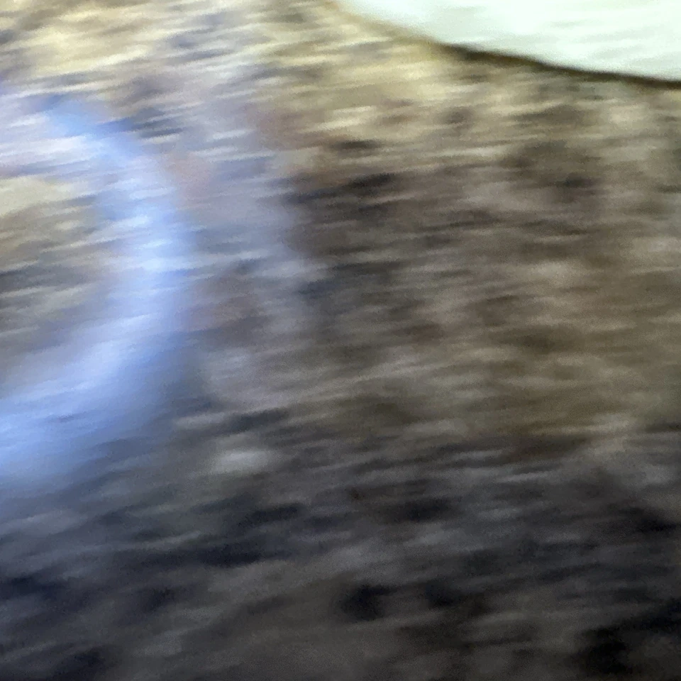 Anchor 2697SR Eng Mount Frt Rt 90-95 别克 REGAL 免运费 * — 第 2/4 张图片