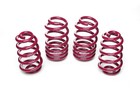 Vogtland Springs for Audi A6 4F (C6) Avant incl. quattro 40 mm Art.No. 950012