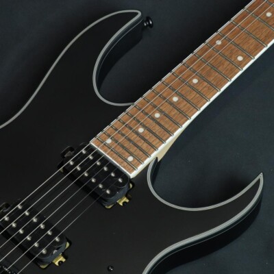Ibanez Electric guitar RG421EX Black Flat | eBay