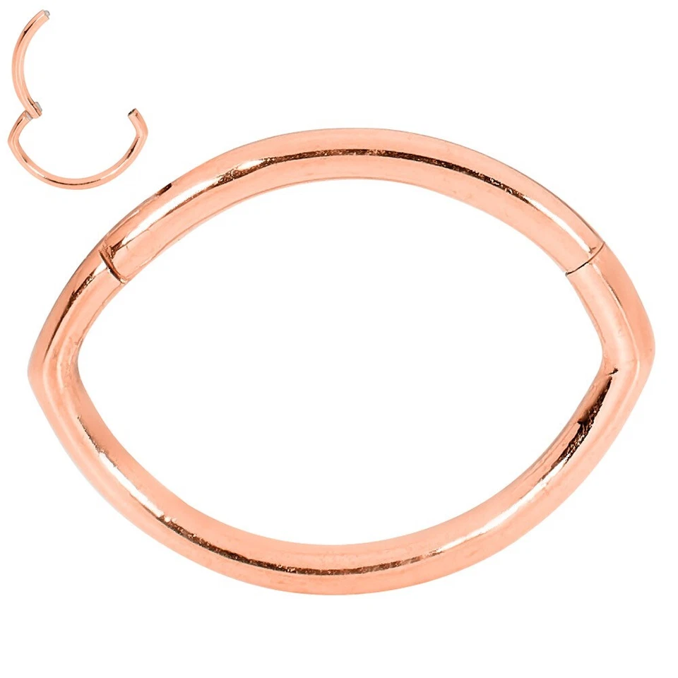 1 Pair Surgical Steel Oval Hinged Hoop Segment Nose Septum Ring Sleeper Earrings Foto 3 de 4