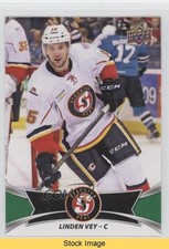 2016-17 Upper Deck AHL Green Linden Vey #73 READ 0a3