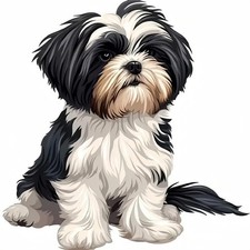 Shih Tzu Dog Paint by Numbers for Adults Beginner, Paint by Number PB248-1